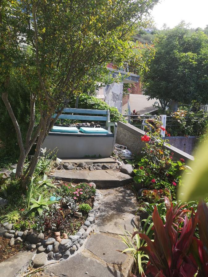 Casa-Albatros Villa Ponta do Sol  Ngoại thất bức ảnh