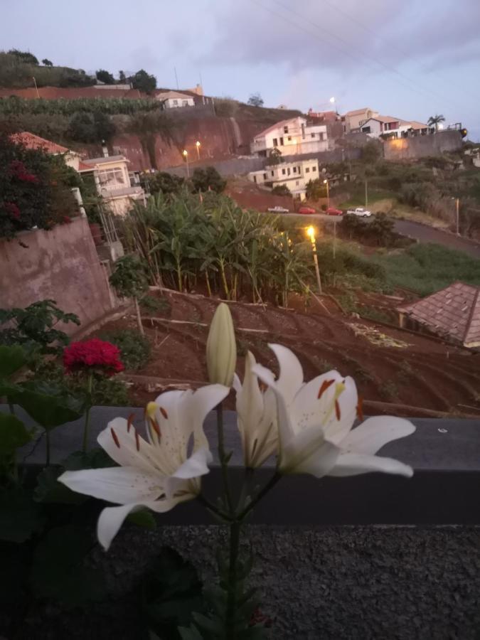 Casa-Albatros Villa Ponta do Sol  Ngoại thất bức ảnh