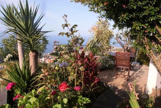Casa-Albatros Villa Ponta do Sol  Ngoại thất bức ảnh